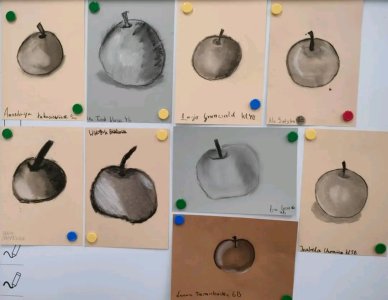 Zajęcia rozwijające kluczowe kompetencje społeczno-emocjonalne - 4