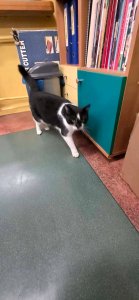 Spotkanie uczniów z przedstawicielami stowarzyszenia „Empatyczni” z Radzynia Podlaskiego - 9