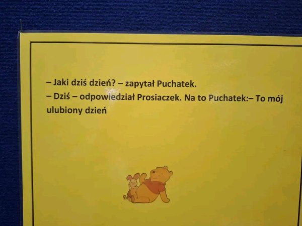 Dzień Pluszowego Misia 2025 — zdjęcie 6