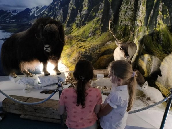 Rozstrzygnięcie XXXVIII edycji Ogólnopolskiego Konkursu Plastycznego pod hasłem „Mój Las” w Nadleśnictwie Puławy. — zdjęcie 24