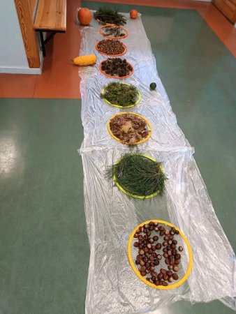 Ścieżka sensoryczna — zdjęcie 8