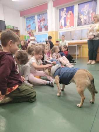 Spotkanie uczniów z przedstawicielami stowarzyszenia „Empatyczni” z Radzynia Podlaskiego — zdjęcie 3