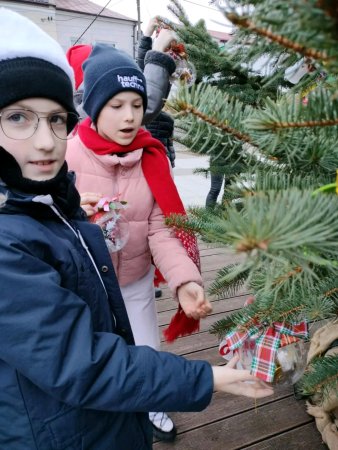 Ubieranie choinki na Placu Wolności — zdjęcie 9