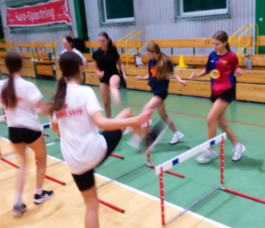 Cykl zajęć sportowych realizowany w ramach projektu 10.5 — zdjęcie 5