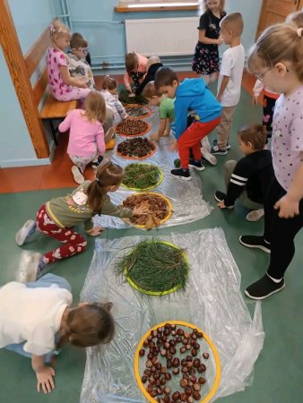 Ścieżka sensoryczna — zdjęcie 1