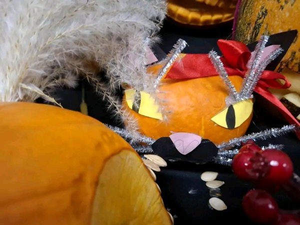 Dzień dyni — zdjęcie 16