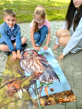 Rozstrzygnięcie XXXVIII edycji Ogólnopolskiego Konkursu Plastycznego pod hasłem „Mój Las” w Nadleśnictwie Puławy. — zdjęcie 21